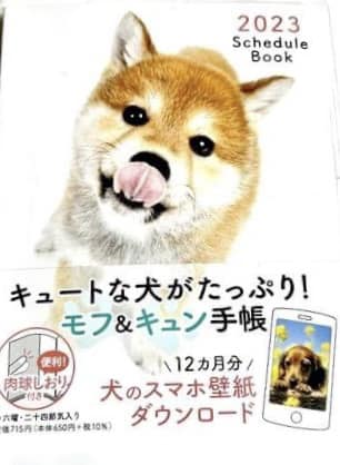 休憩時間に