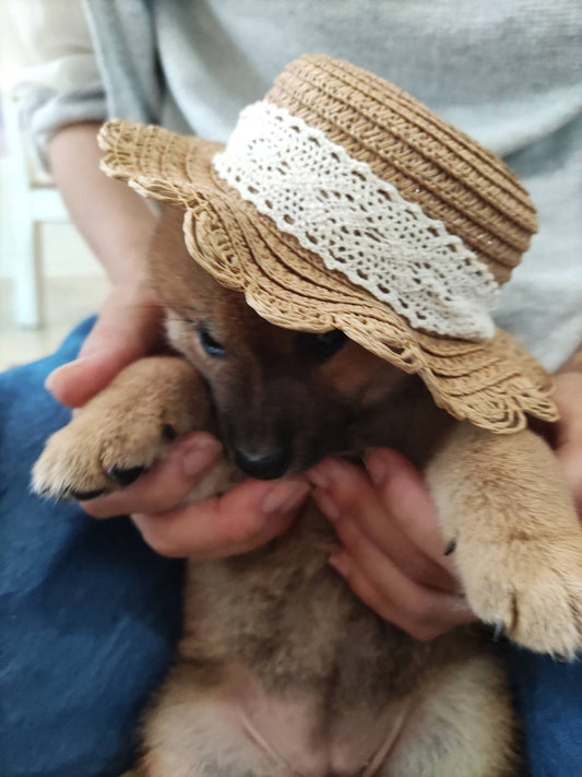 夏前の一コマ!