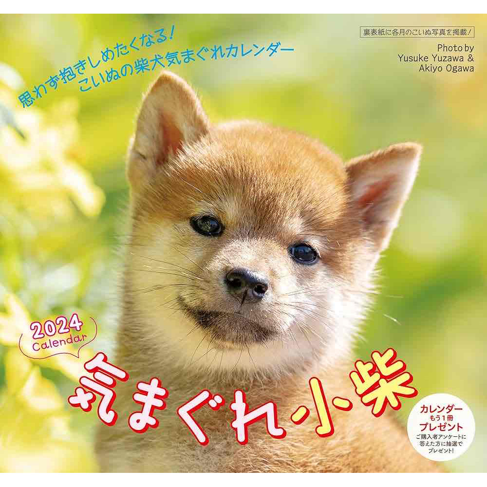 2024カレンダー 気まぐれ小柴