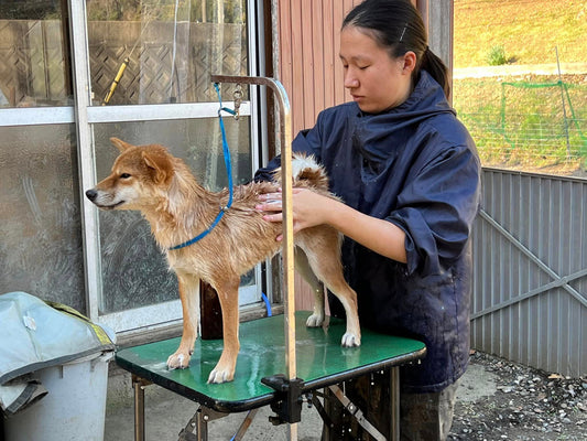 午後の作業は…