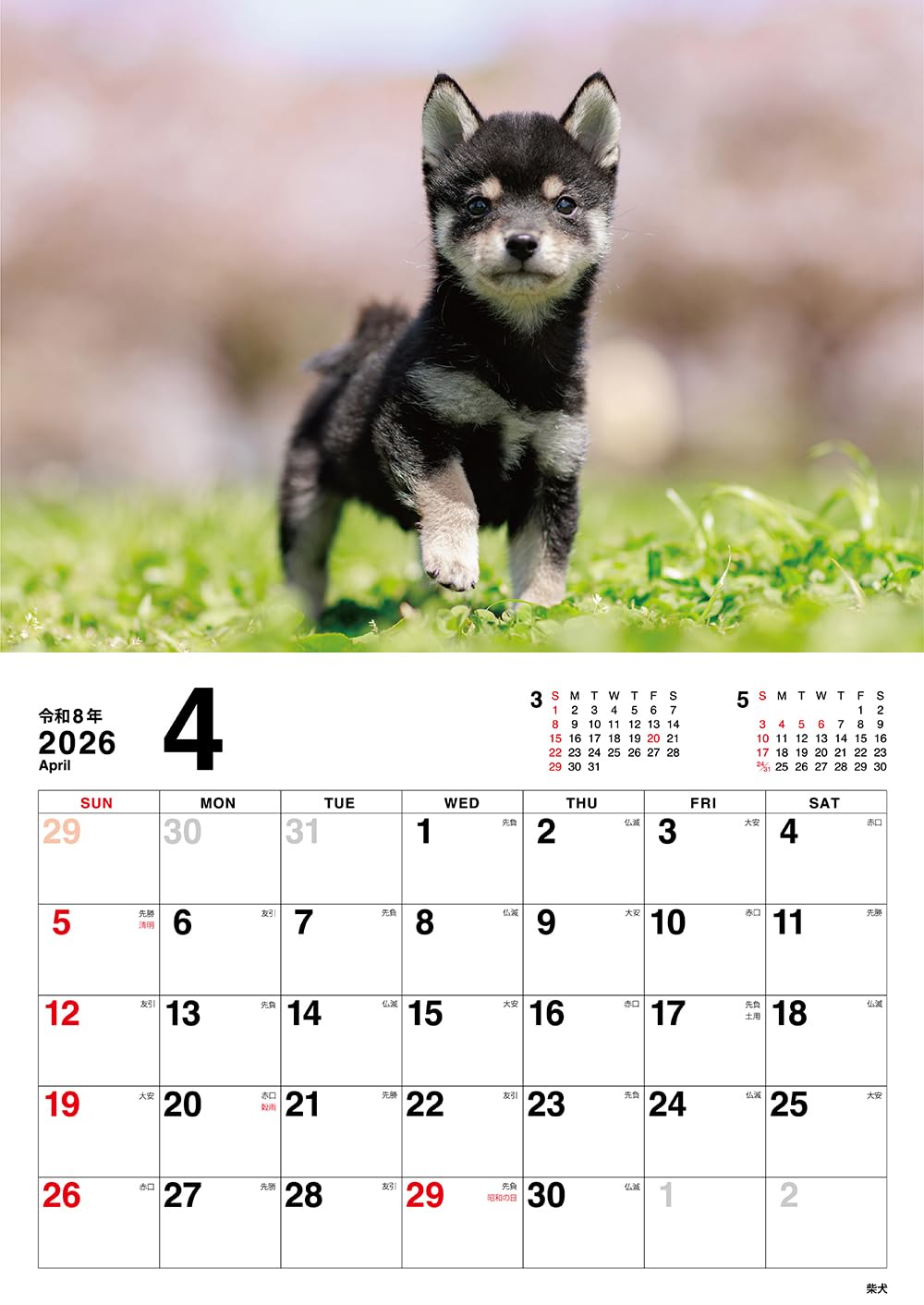 〈２０２６〉こいぬのきもちカレンダー2026