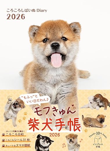 〈２０２６〉ころころ柴犬diary