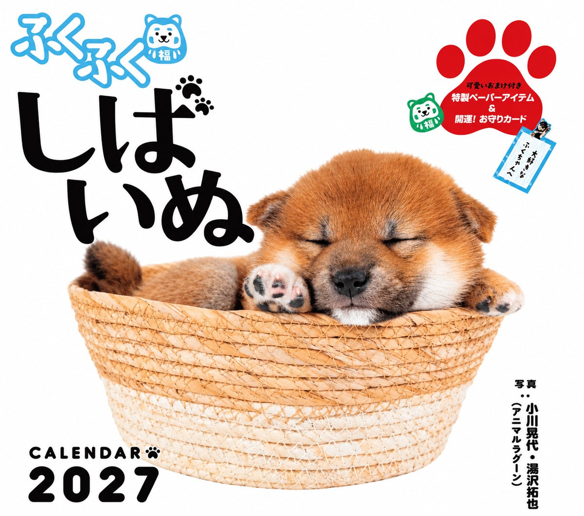 【カレンダー】ふくふく柴犬